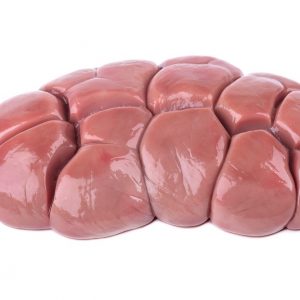 Beef Kidney